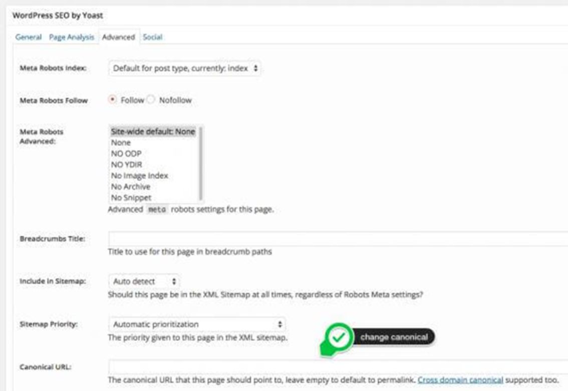 Canonical tag Wordpress