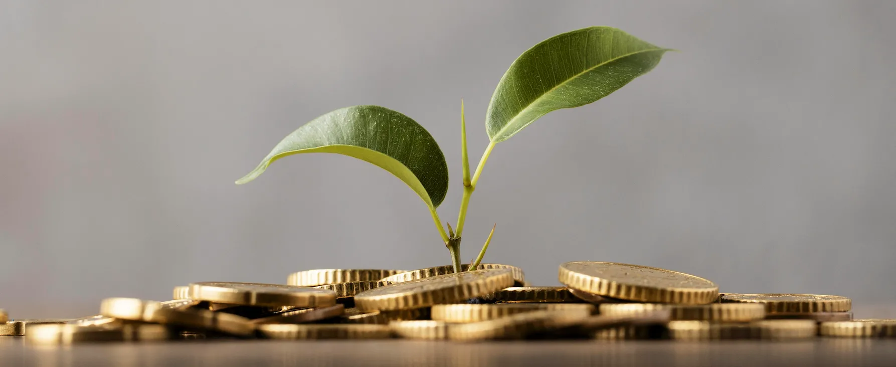 Web app of progressieve web app